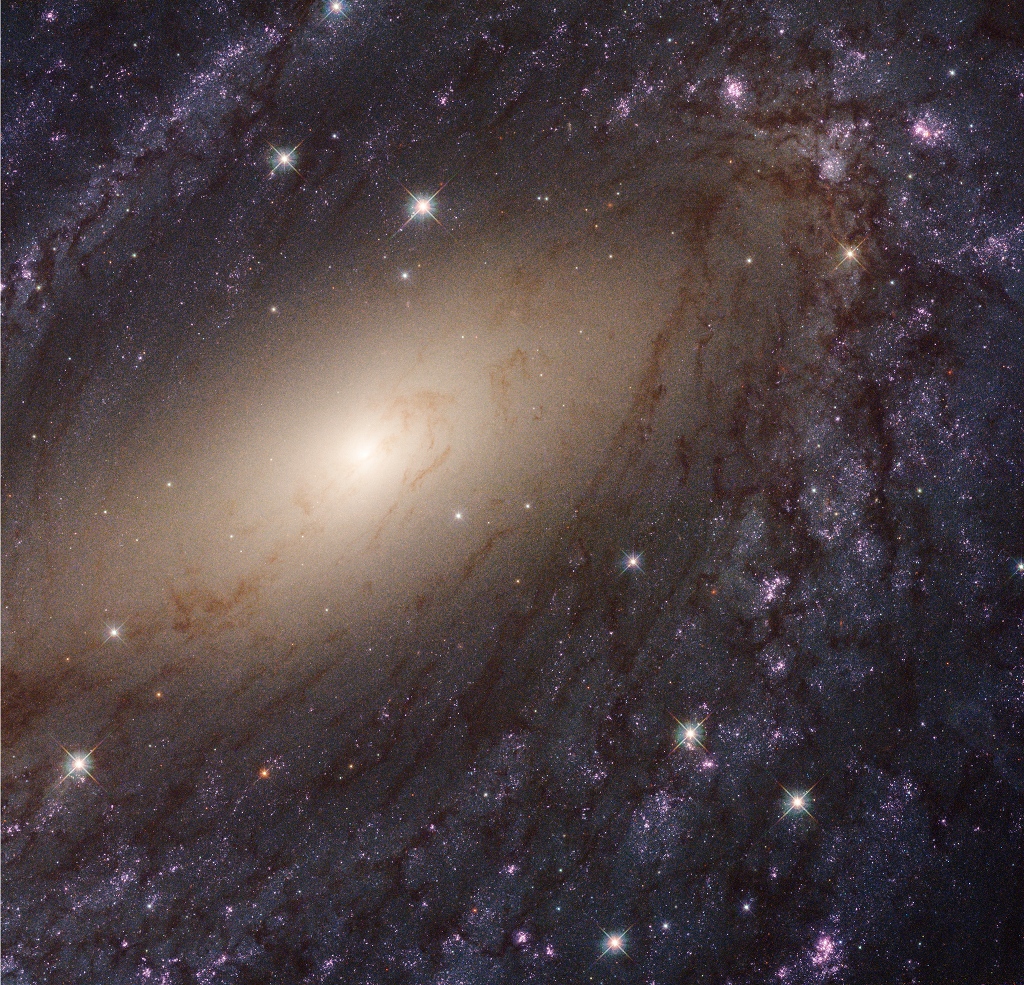 Astronomy Picture of the Day