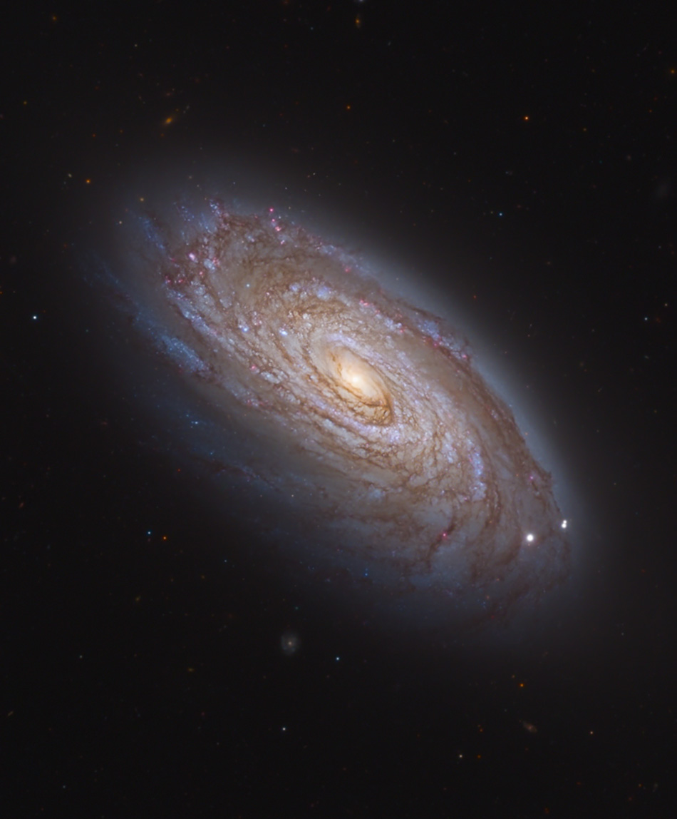 Astronomy Picture of the Day