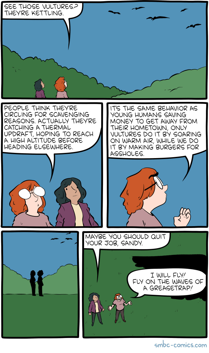 Saturday Morning Breakfast Cereal