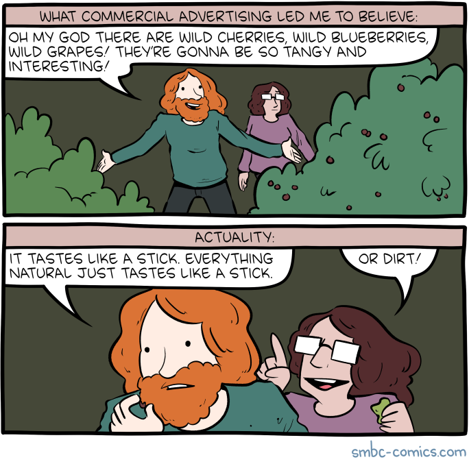 Saturday Morning Breakfast Cereal