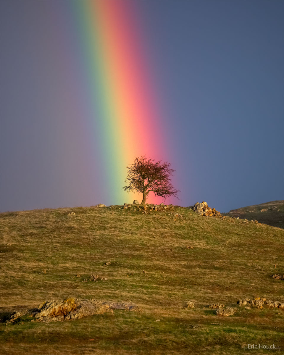 Astronomy Picture of the Day