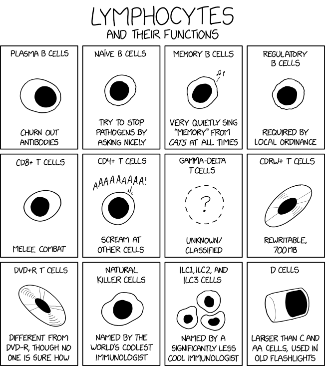 xkcd