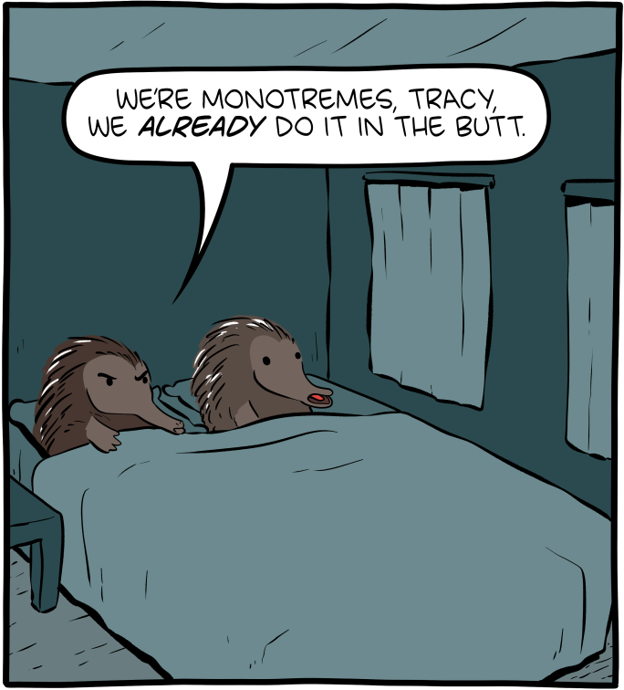 Saturday Morning Breakfast Cereal
