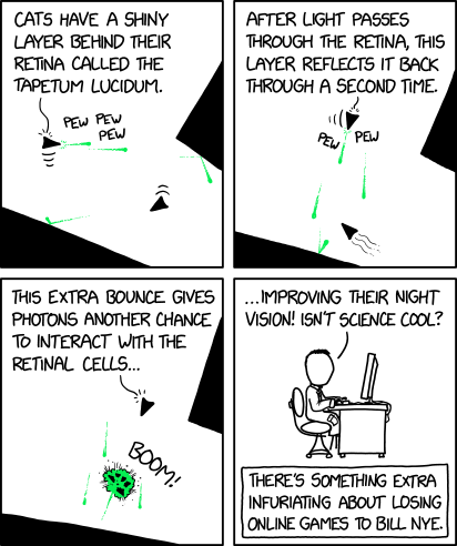 xkcd