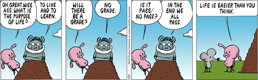 Pearls Before Swine