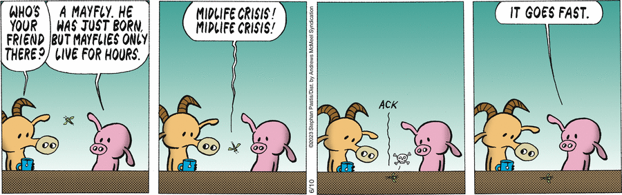 Pearls Before Swine