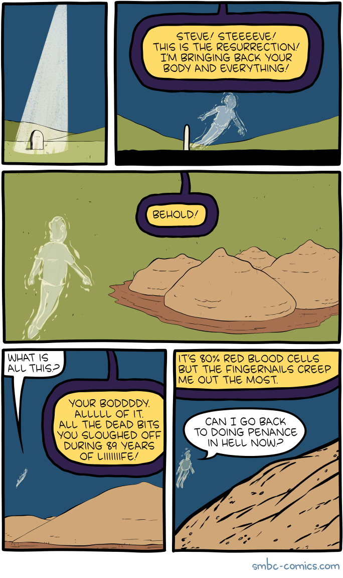 Saturday Morning Breakfast Cereal