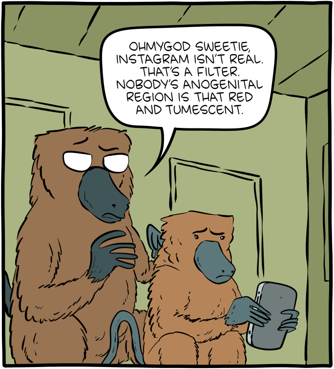 Saturday Morning Breakfast Cereal