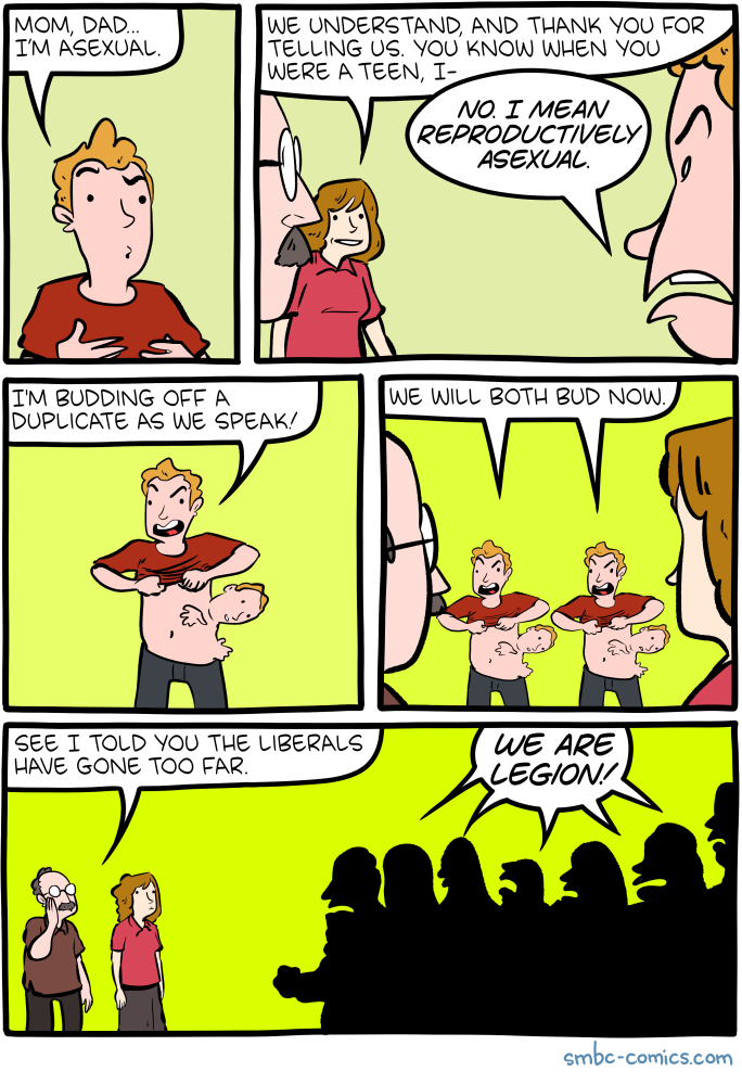 Saturday Morning Breakfast Cereal