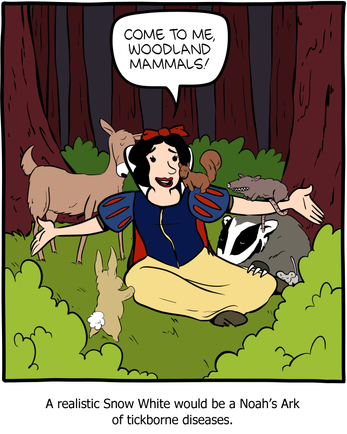Saturday Morning Breakfast Cereal
