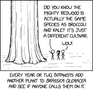 xkcd