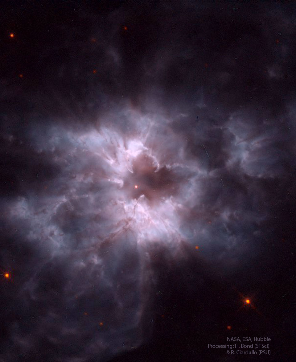 Astronomy Picture of the Day