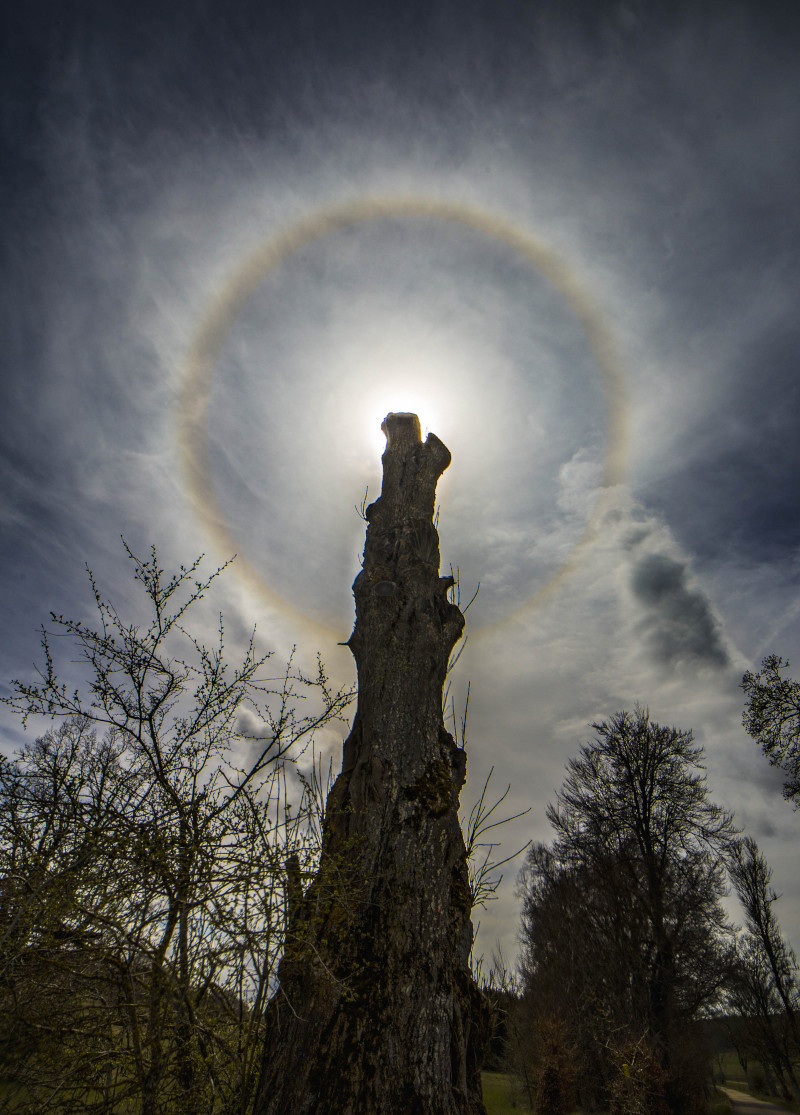 Astronomy Picture of the Day