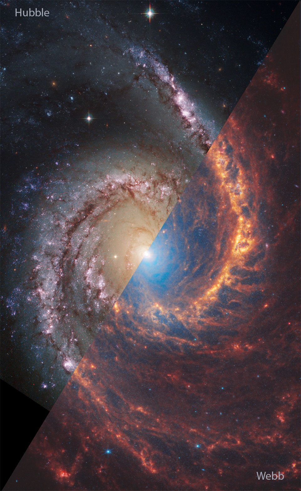 Astronomy Picture of the Day