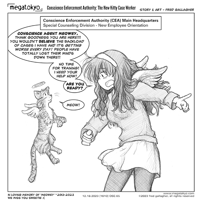 MegaTokyo