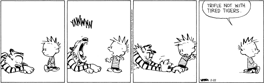 Calvin and Hobbes