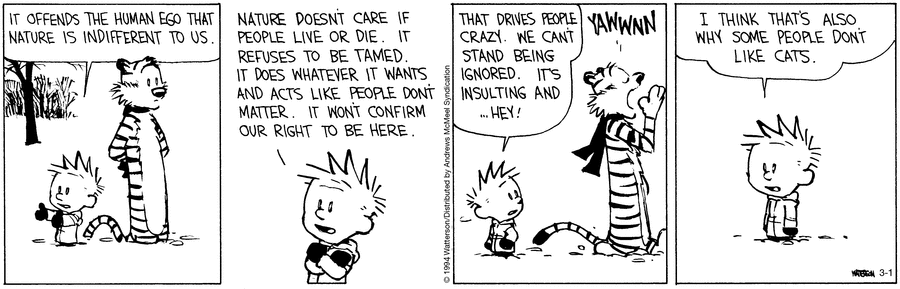 Calvin and Hobbes