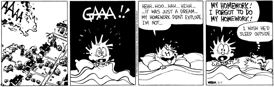 Calvin and Hobbes