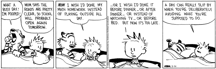Calvin and Hobbes