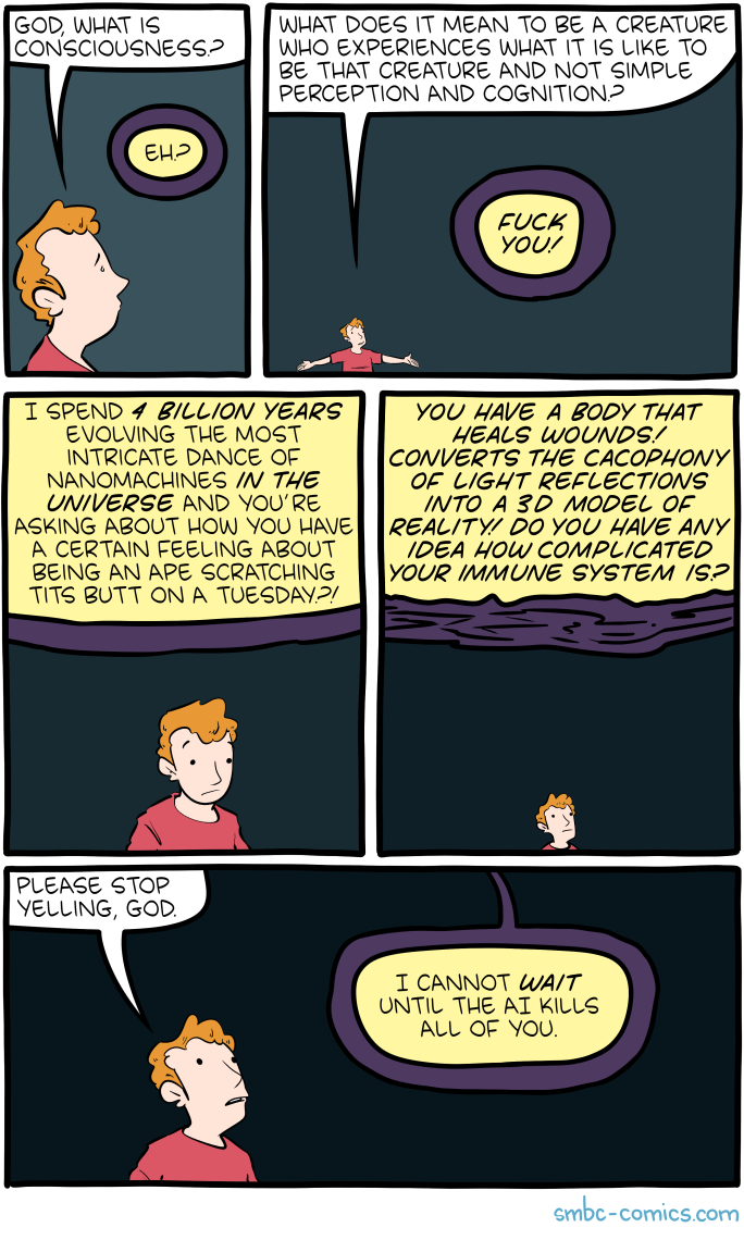 Saturday Morning Breakfast Cereal
