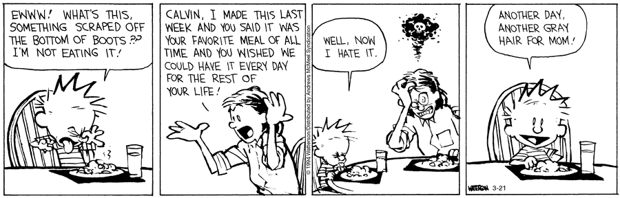 Calvin and Hobbes