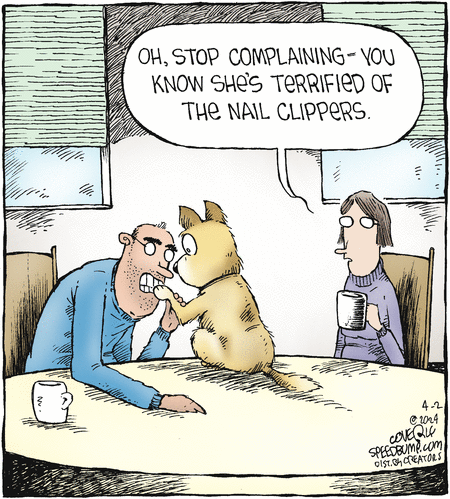 Speed Bump