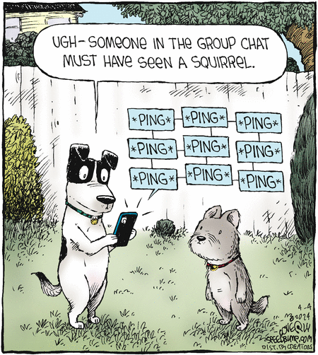 Speed Bump