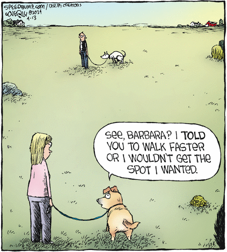 Speed Bump