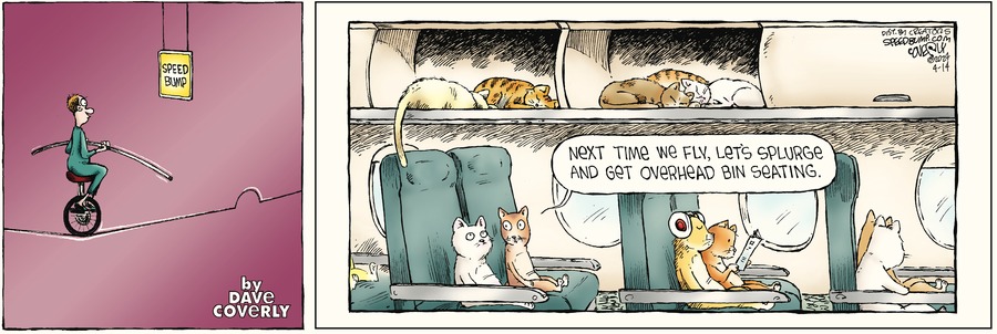 Speed Bump