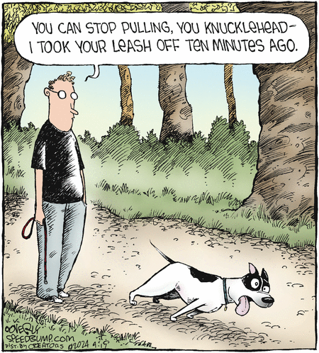 Speed Bump