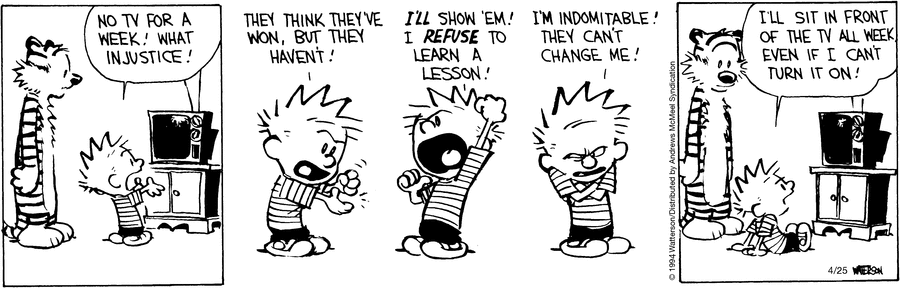 Calvin and Hobbes