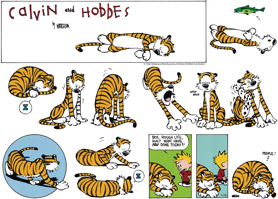 Calvin and Hobbes