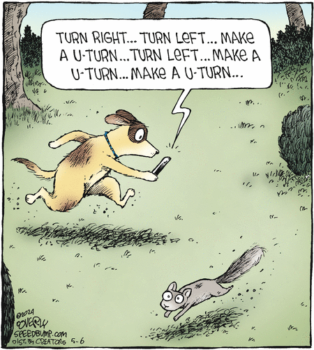 Speed Bump