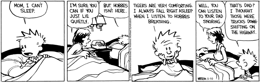 Calvin and Hobbes