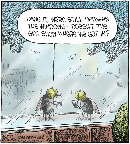 Speed Bump