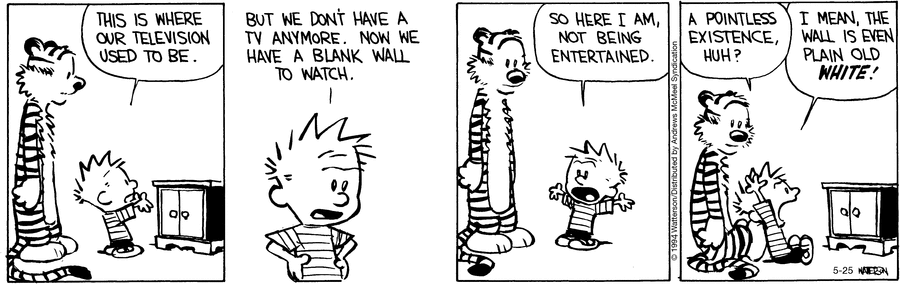 Calvin and Hobbes