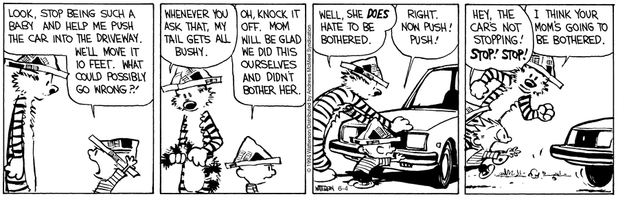 Calvin and Hobbes