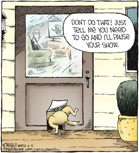 Speed Bump