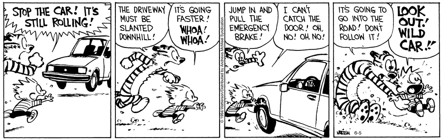 Calvin and Hobbes