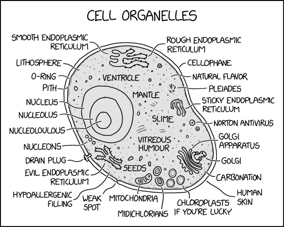 xkcd