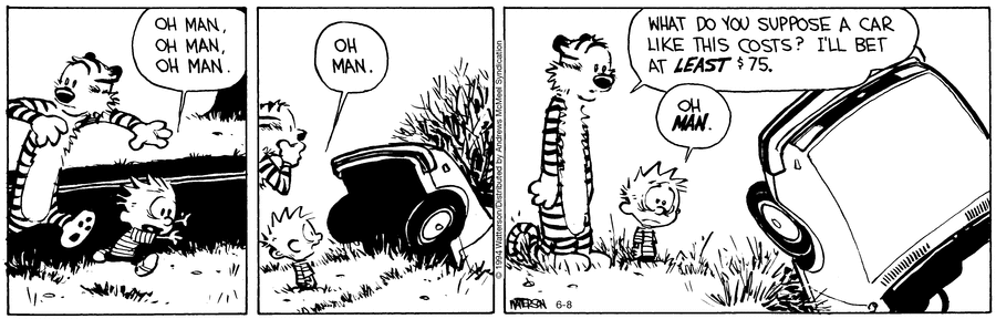 Calvin and Hobbes