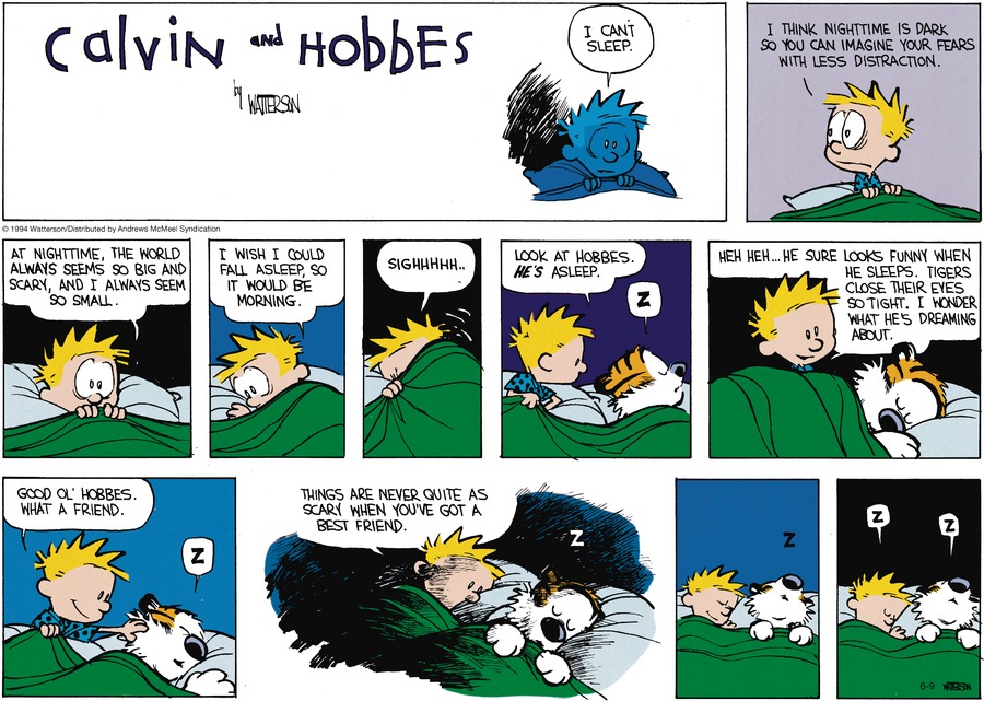 Calvin and Hobbes