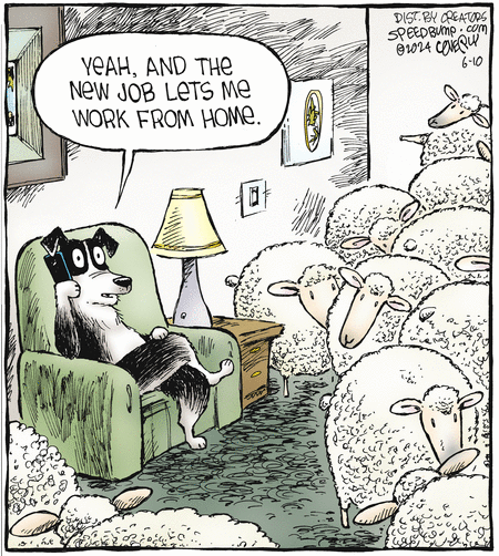 Speed Bump