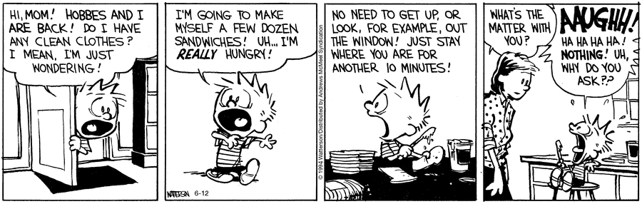 Calvin and Hobbes
