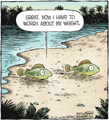 Speed Bump