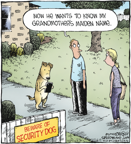 Speed Bump