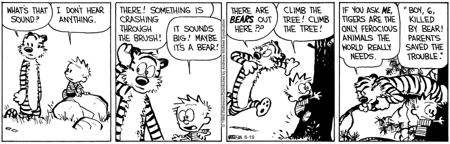Calvin and Hobbes