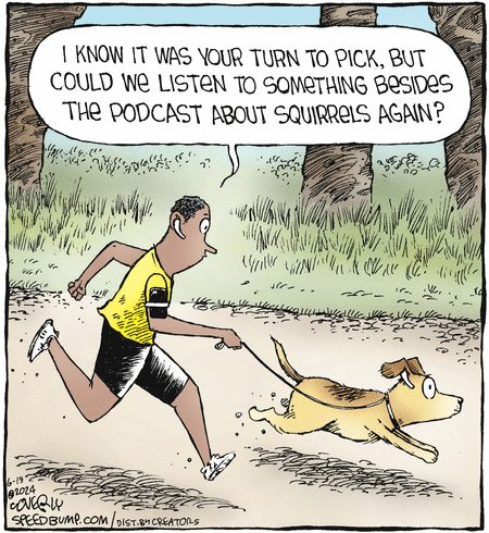Speed Bump