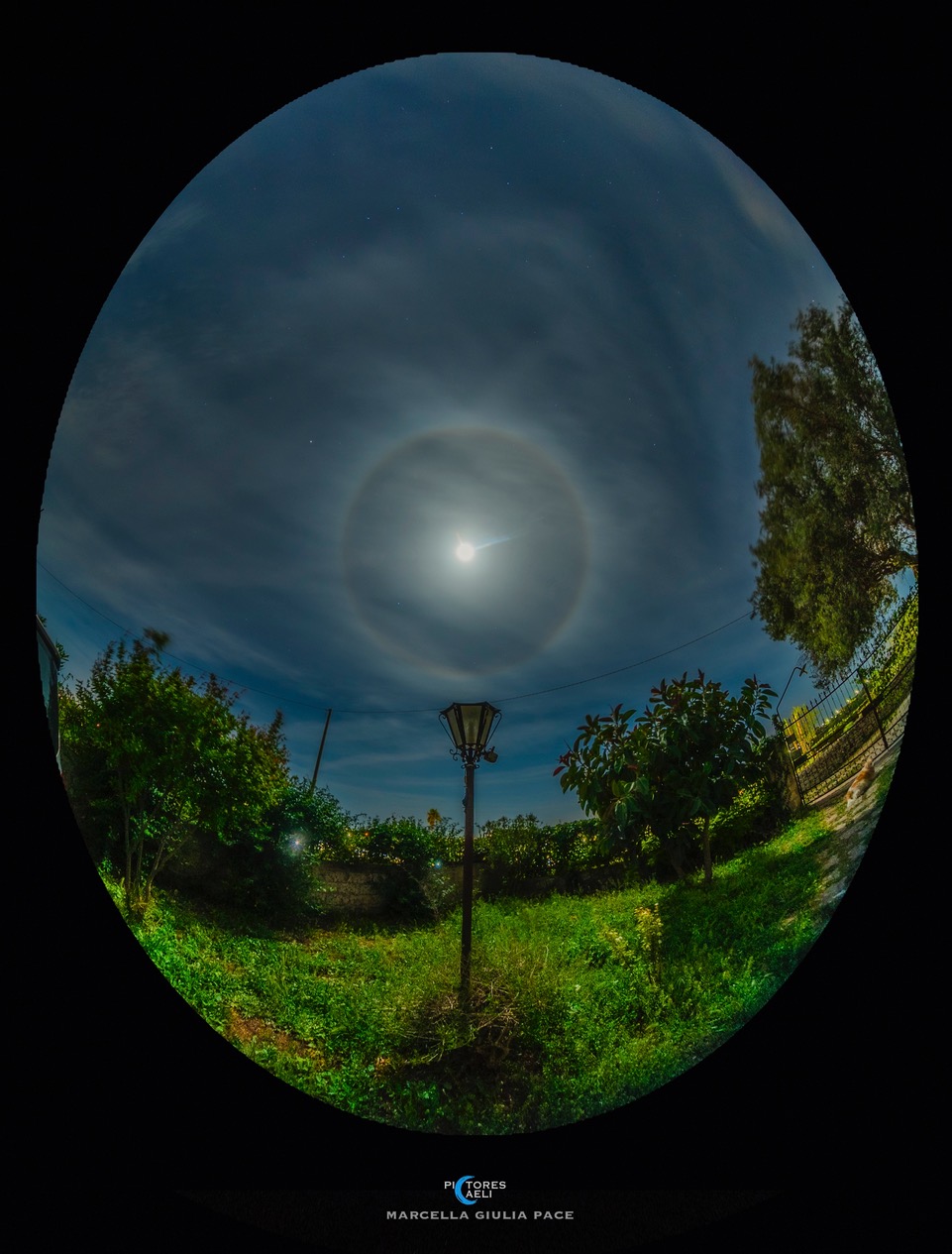 Astronomy Picture of the Day