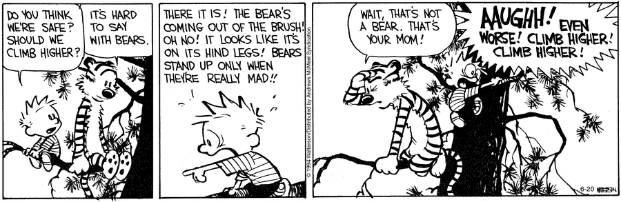 Calvin and Hobbes